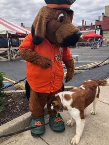 mascot and dog